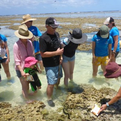 A group of people stand in shallow water being taught how to colour match coral